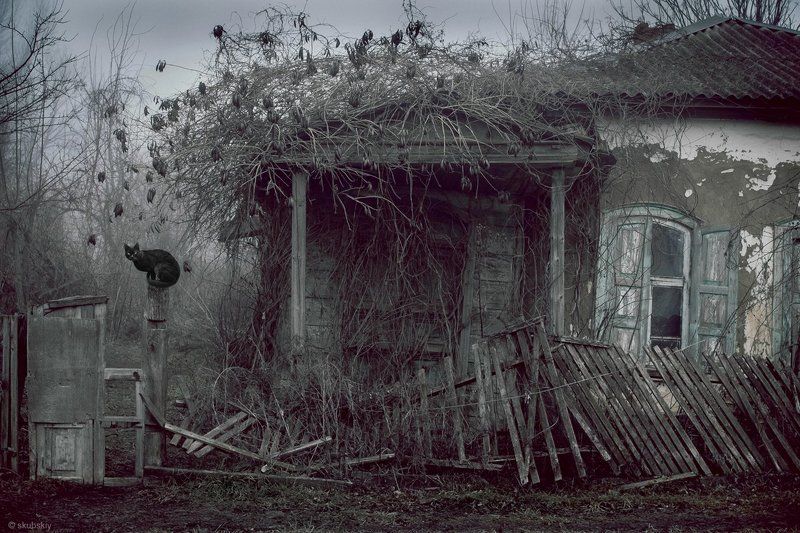 Забвениеphoto preview