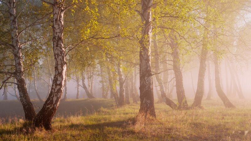 Ласковый май фото превью