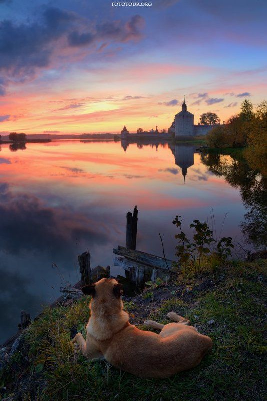 Созерцая закатphoto preview