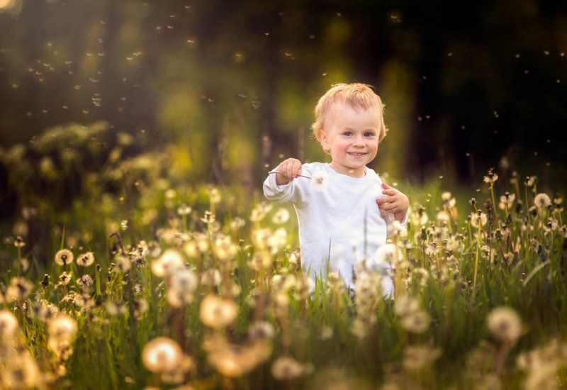 dandelions, dandelion, child , portrait, people, poland, nature Dandelions !photo preview