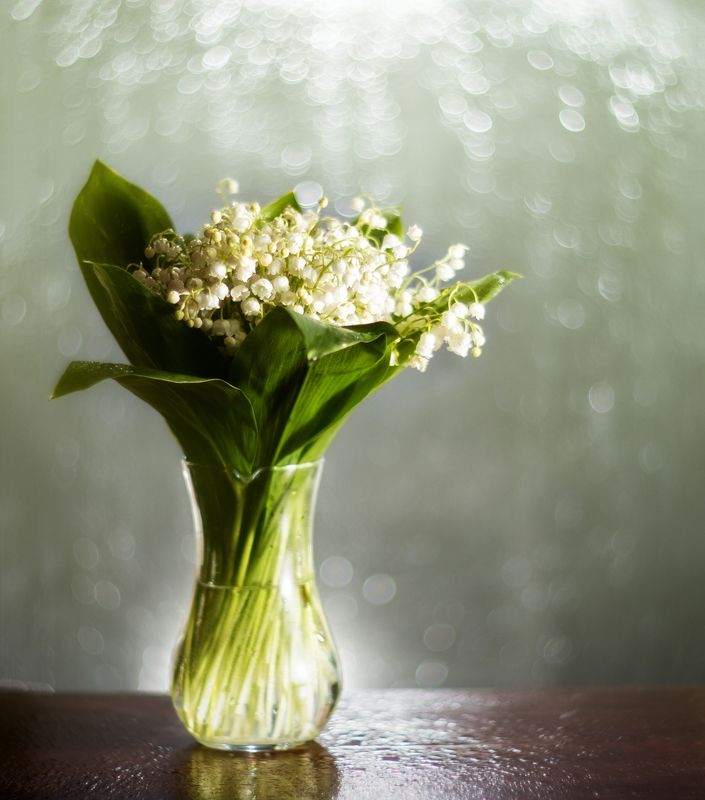 ландышиphoto preview