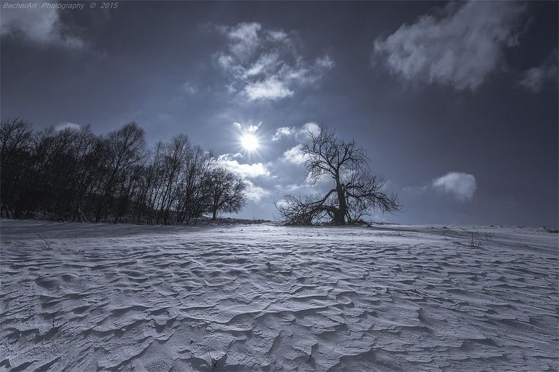 Dialogue XIphoto preview