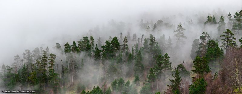 Кавказ, Тхач, пейзаж, панорама, туман, лес,  Живые склоны Большого Тхачаphoto preview