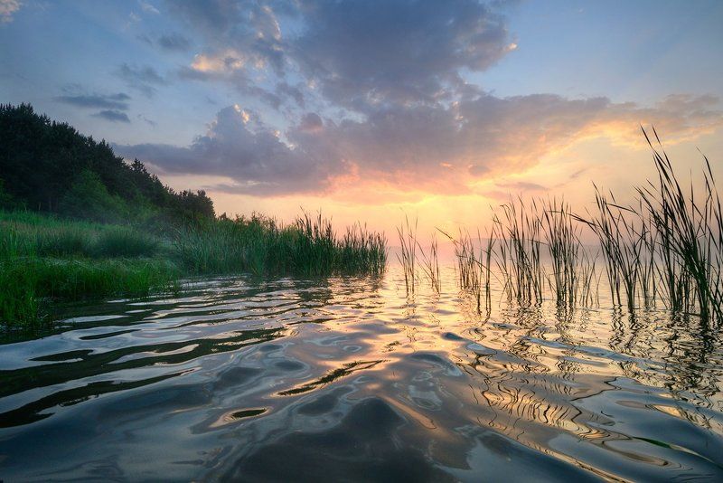 Весеннее утроphoto preview