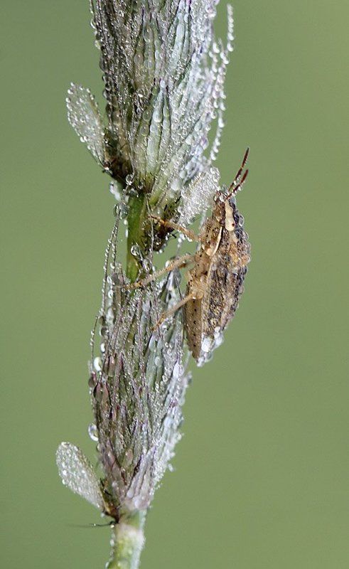 Холодное утроphoto preview