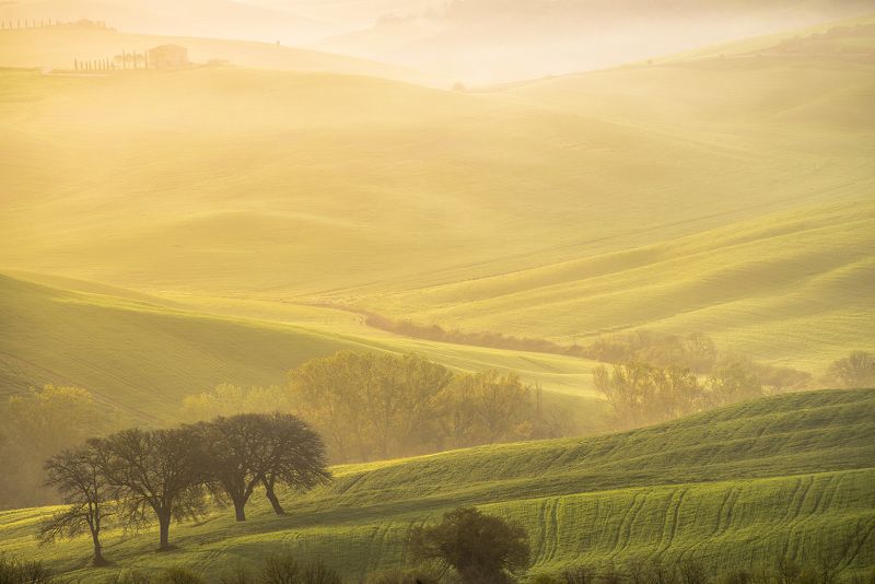 пейзаж, италия, тоскана, холмы, утро, рассвет, туман, природа, долина Холмы, холмы, холмы...photo preview