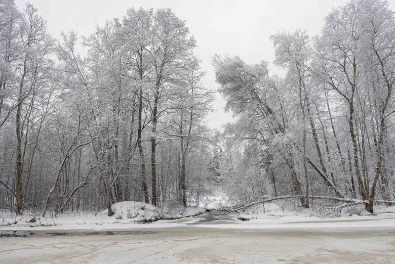Белая тишина фото превью