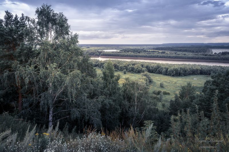 пейзаж, природа, река иртыш photo preview