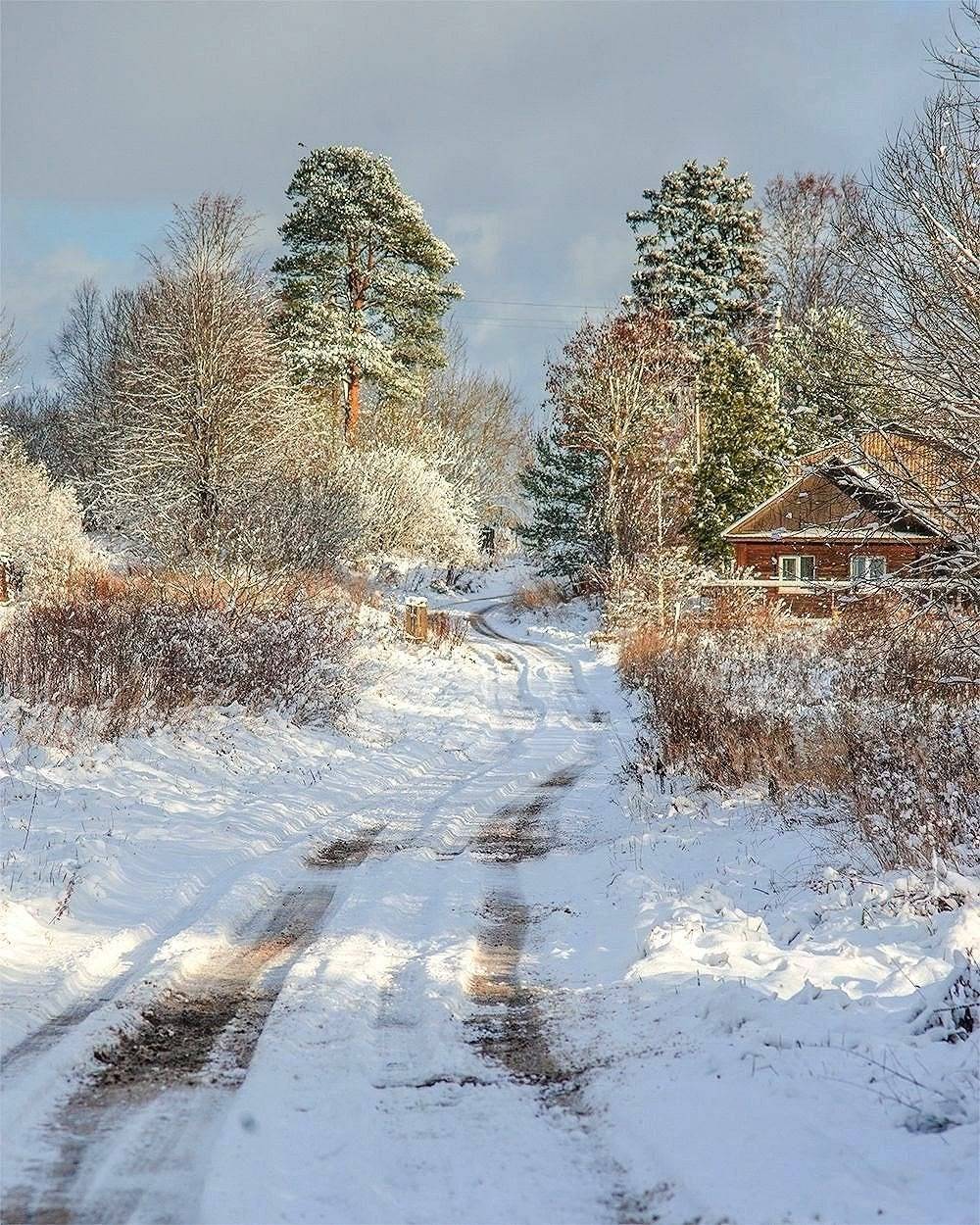 , Петр Косых