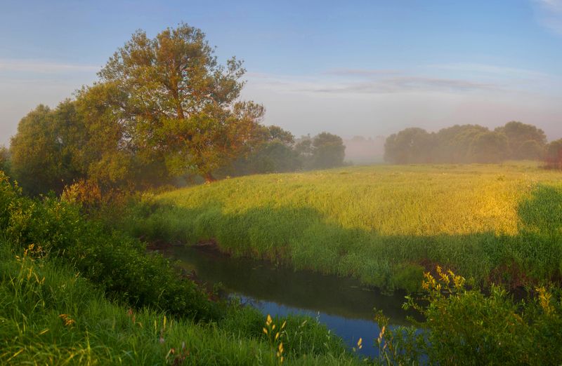 лето, река , туман photo preview