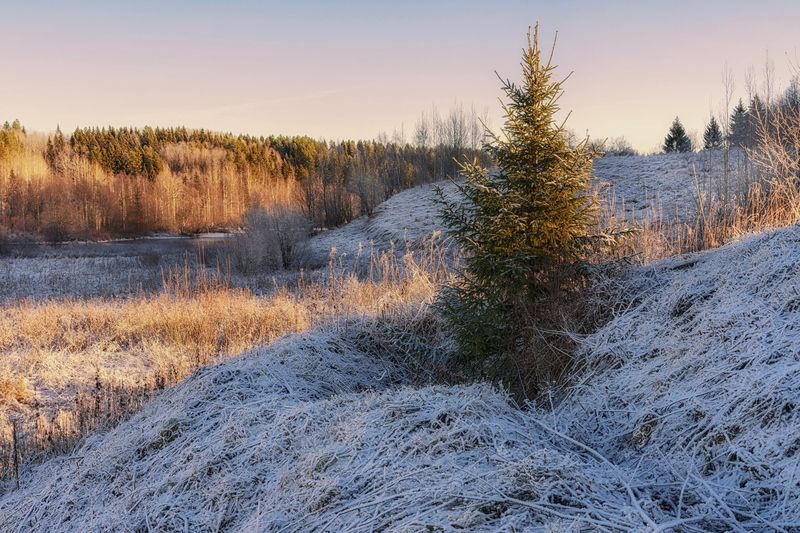 В начале зимыphoto preview