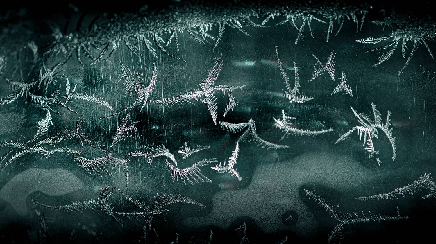 , Неля Рачкова