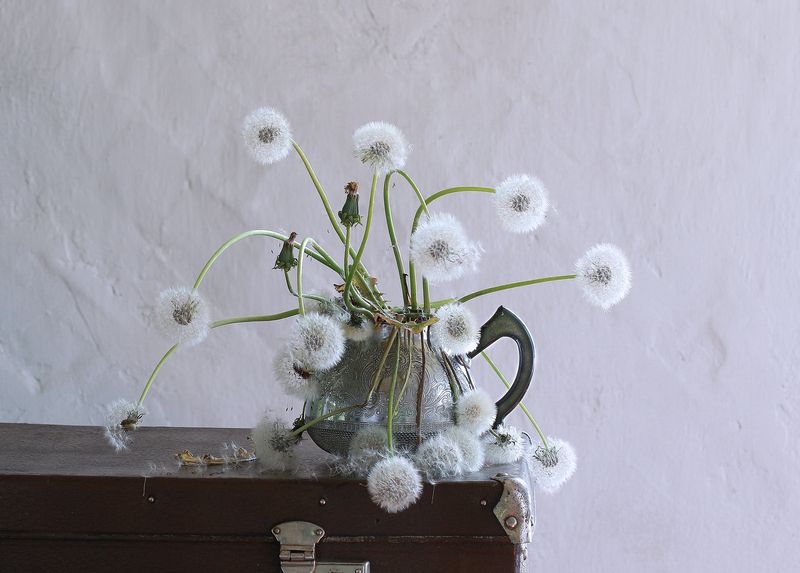 коп фото превью