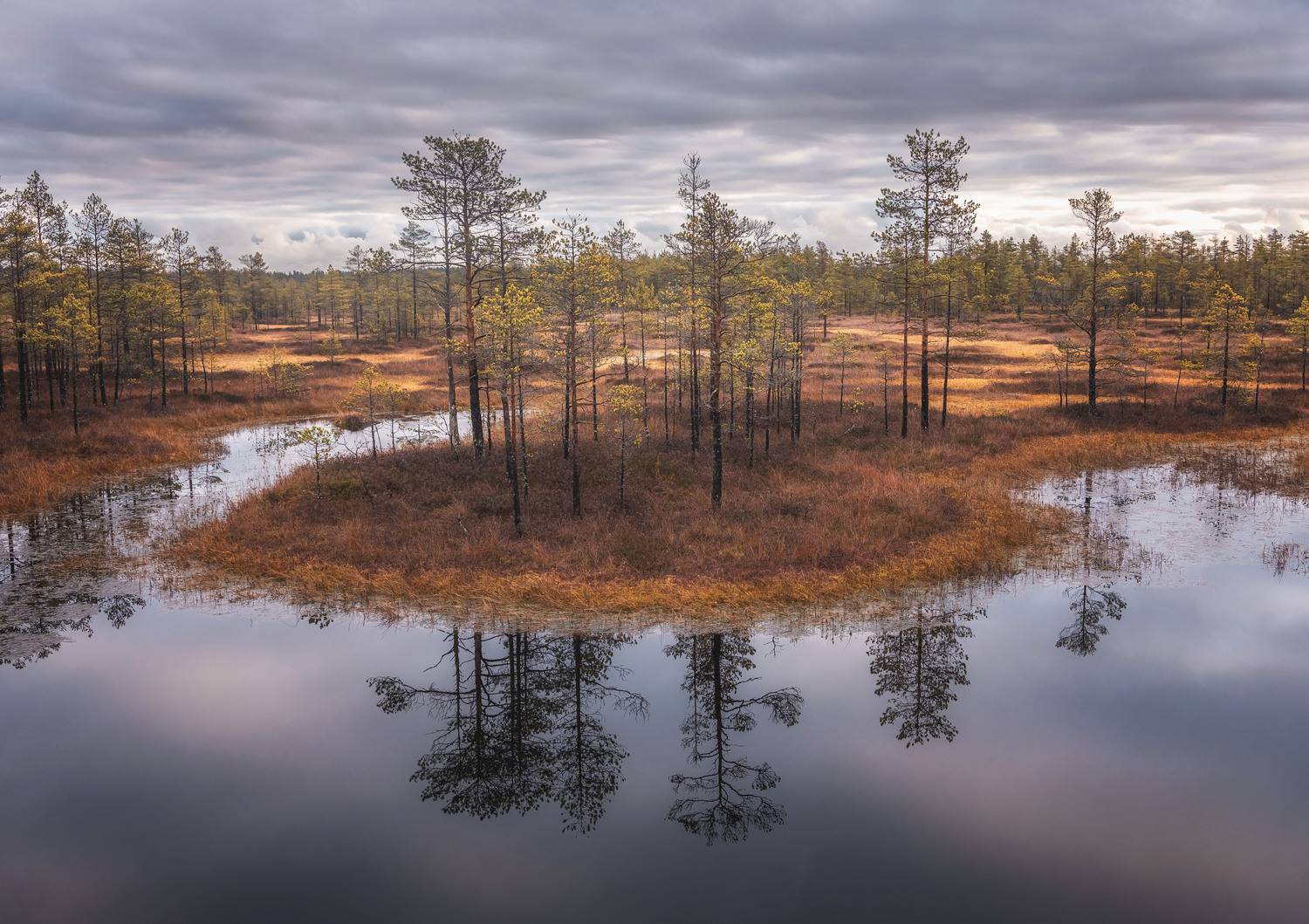 , Грамаков Юрий