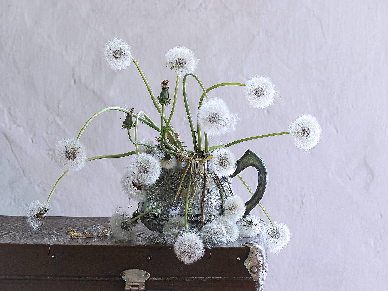 натюрморт, фотонатюрморт, still life, stillifefoto, лето, одуванчики, ретро_натюрморт, наталья_казанцева, Наталья Казанцева