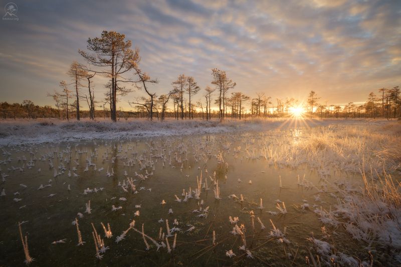 Заморозкиphoto preview