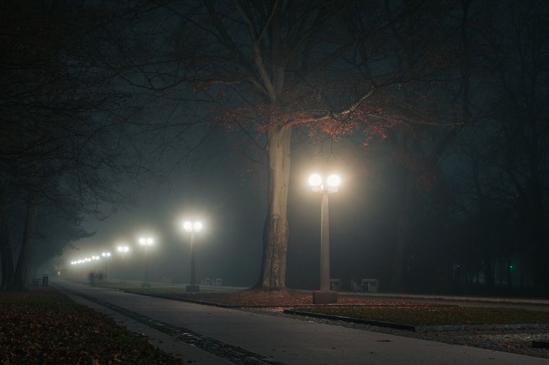 парк туман ночь дерево фонарь аллея Ночной паркphoto preview