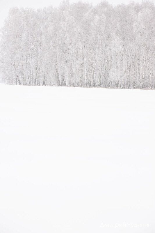 Белым-белоphoto preview