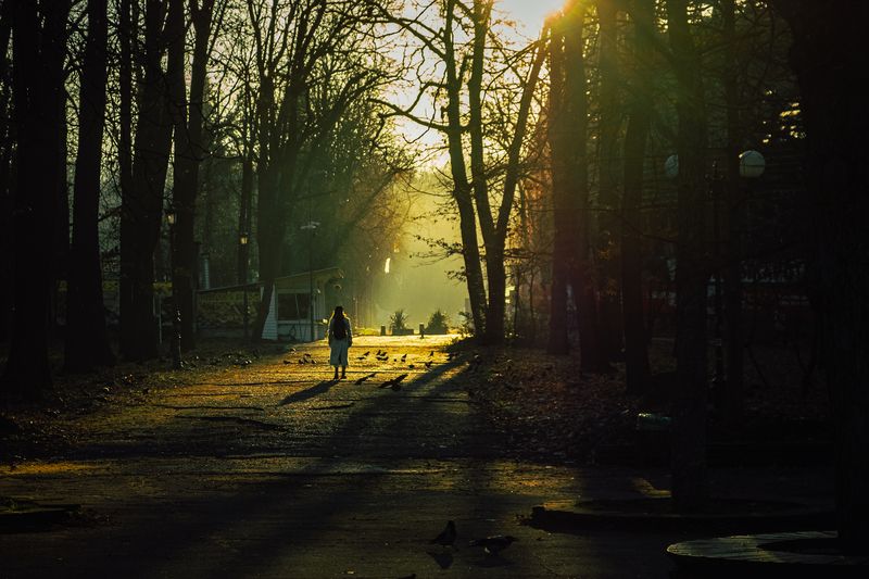 Прогулкаphoto preview