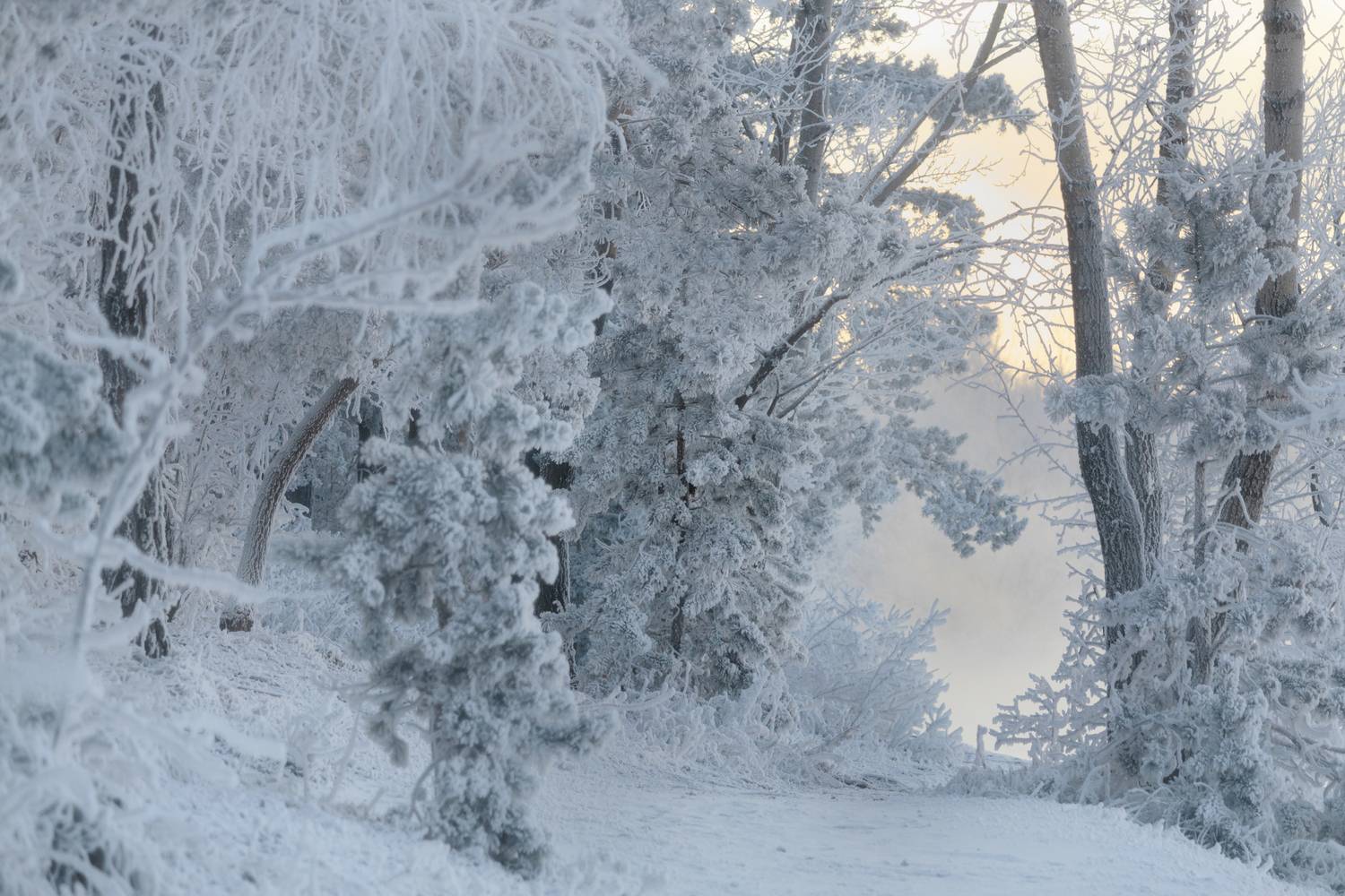 , Иван Гуторин