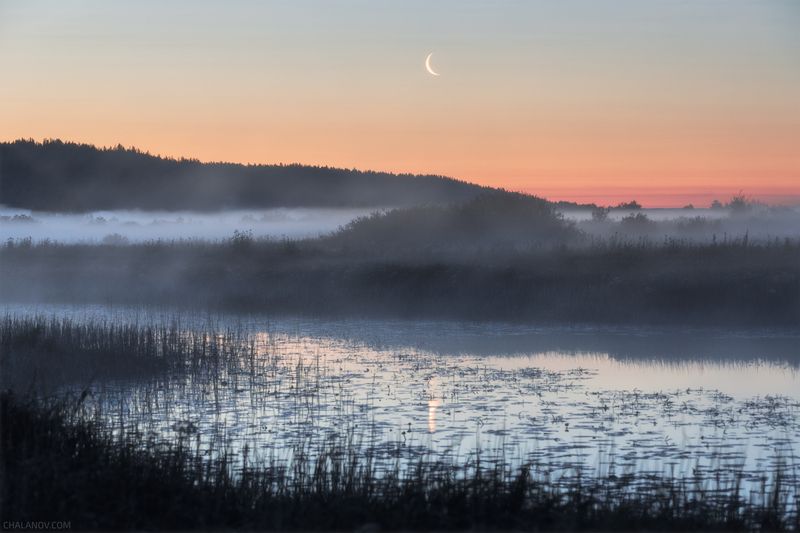 пейзаж, луна, рассвет, лето, туман, озеро, луг Туманное утроphoto preview