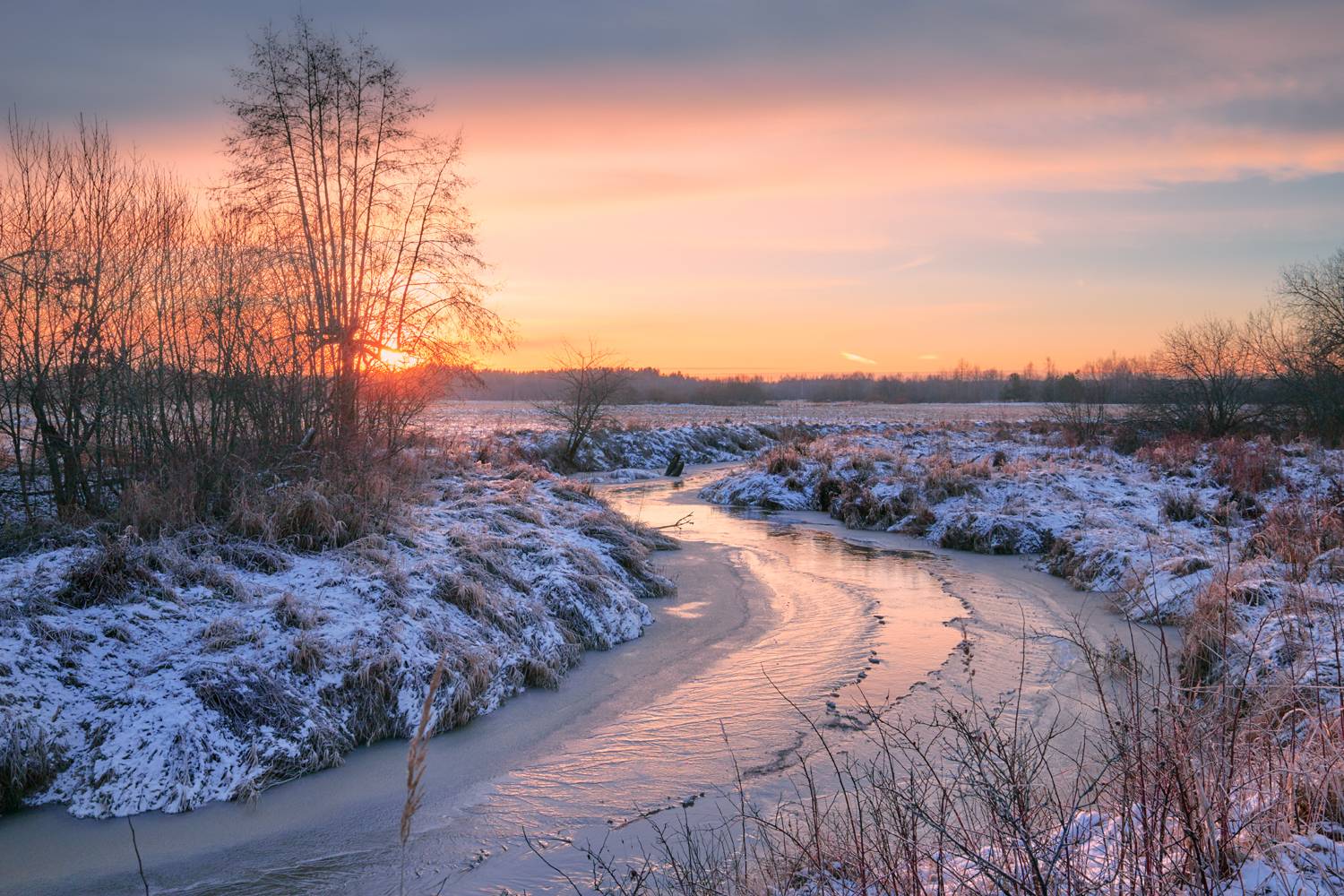 На морозную ночь .... Автор: Роман Лушпа , Роман Лушпа