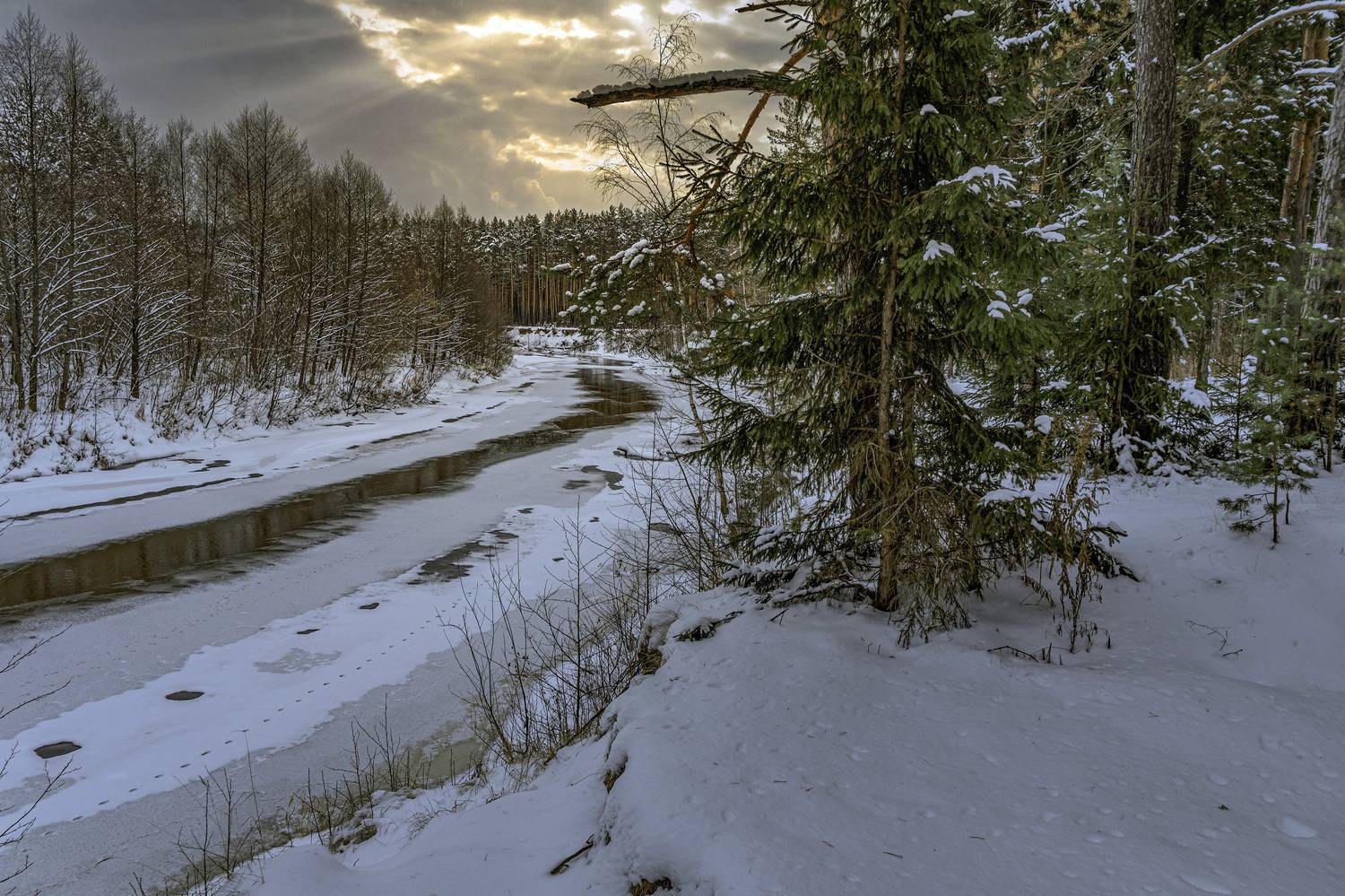 , Шитов Александр