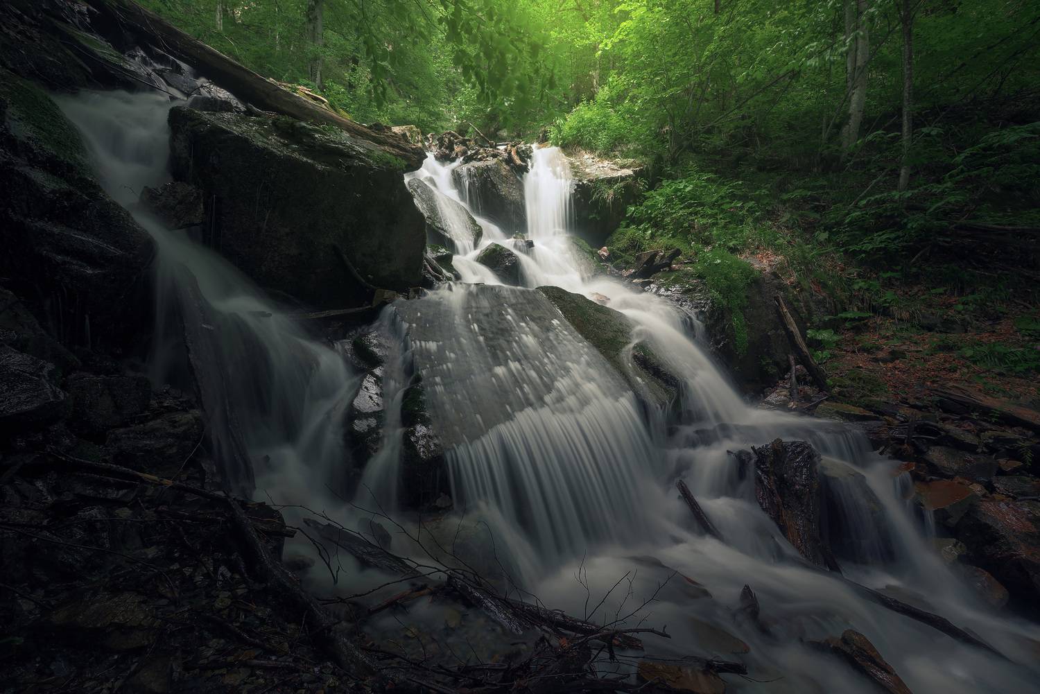 Автор: Смольский Евгений , Смольский Евгений