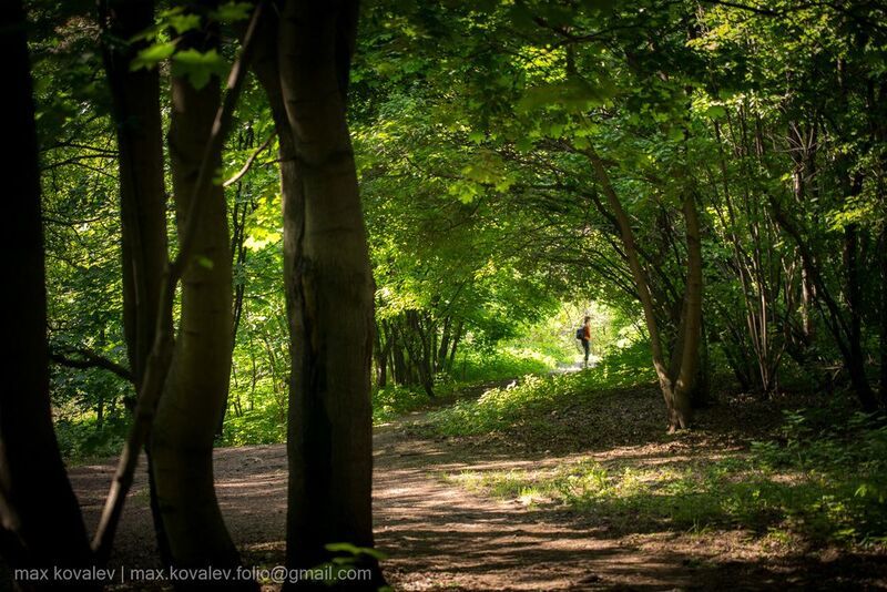 85 мм, арка, гелиос 40-2, дерево, дорога, дорожка, зелёный, лес, лист, листва, парк, природа, путь, солнечно, ствол, тень, тропа, человек Чеширский кот глядел зелёным глазом фото превью