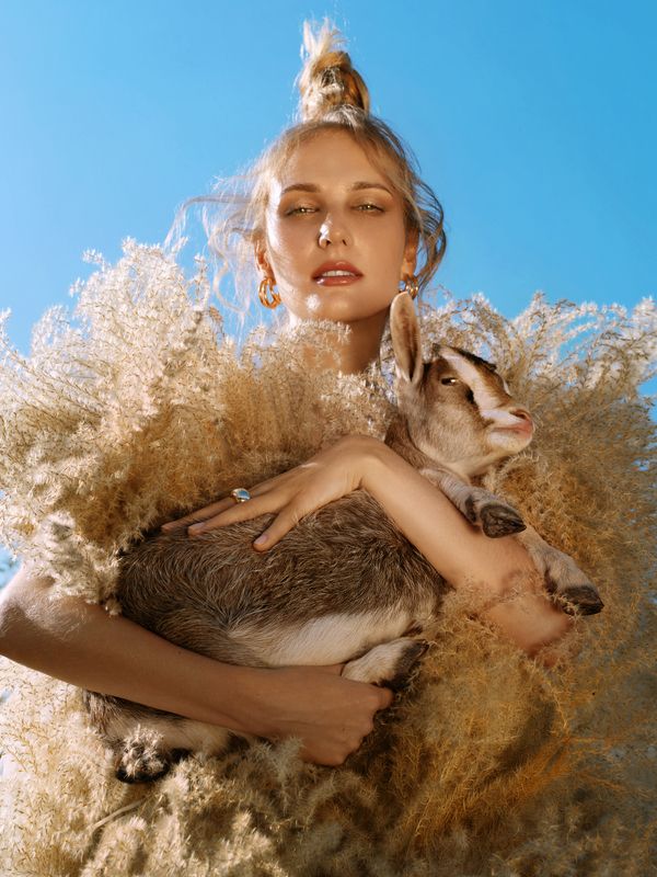 Feast of the Belle Époquephoto preview