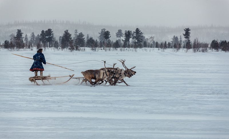 На кураже!photo preview