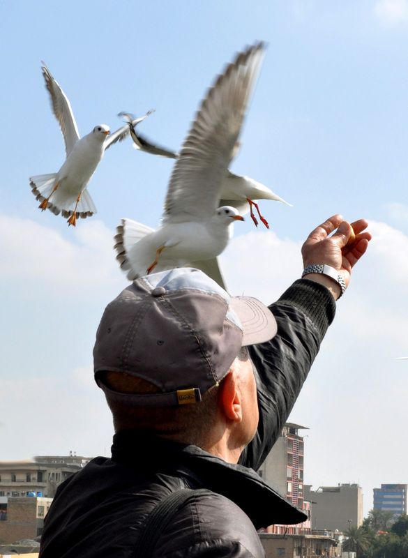 Blessed are the merciful. Blessed are those with merciful heartsphoto preview