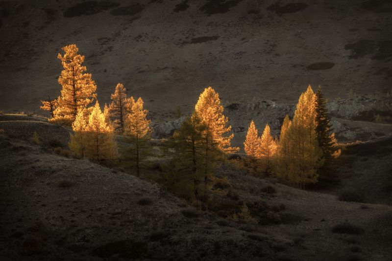 Алтпй photo preview