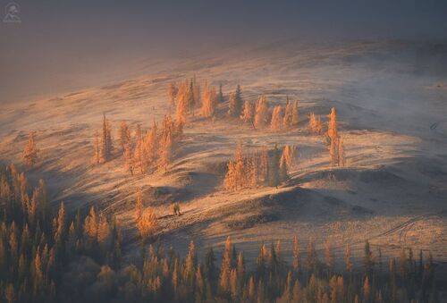 Туманная картина