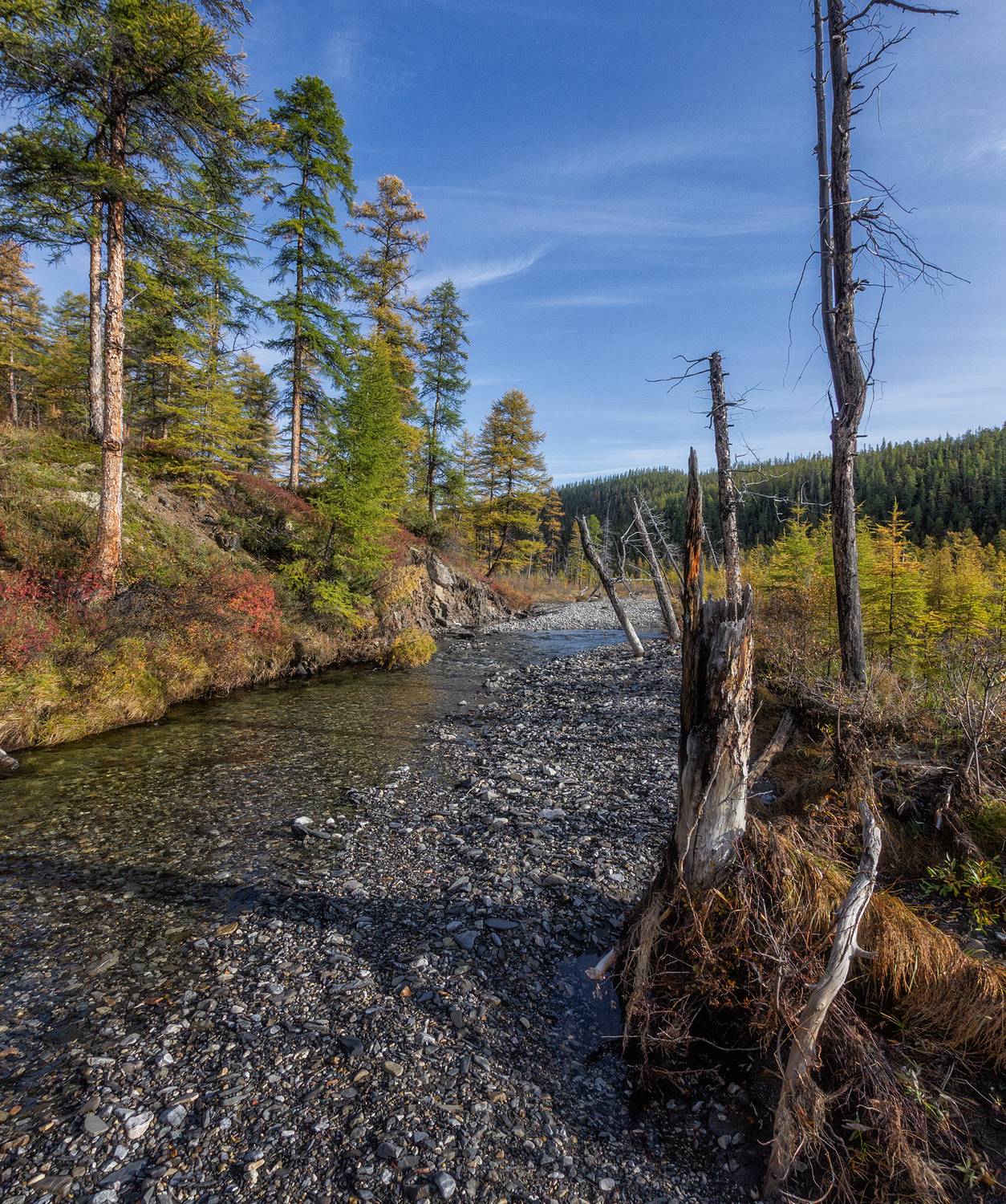 , Андреев Николай