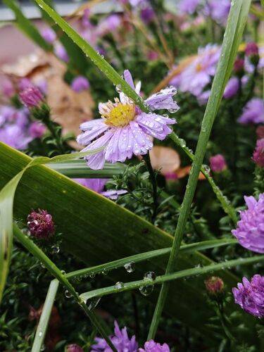 Природа/Общее