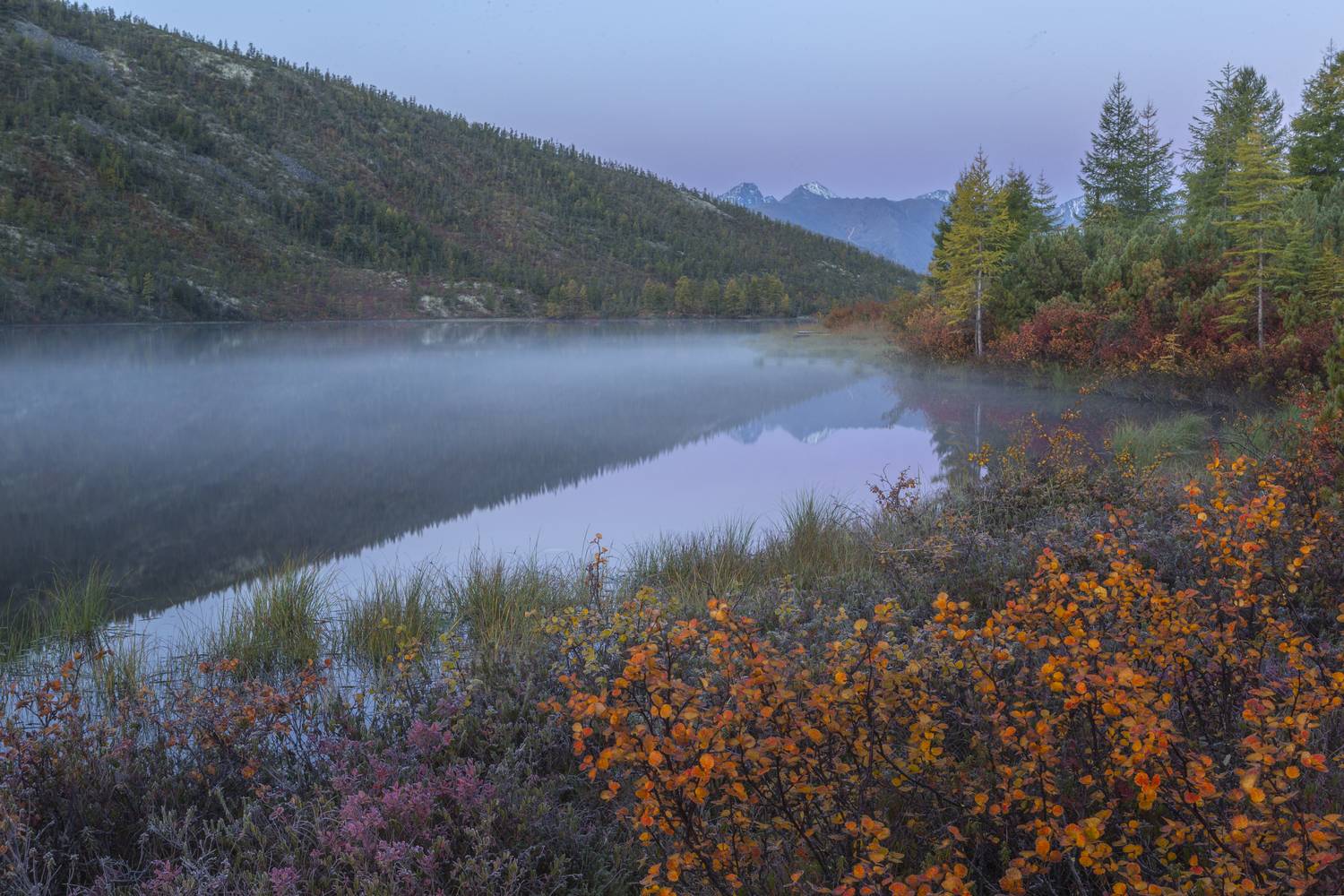Озеро танцующих хариусов.. Автор: Георгий Башкин Озеро Джека Лондона,озеро Танцующих хариусов,пояс Венеры,туман, Георгий Башкин
