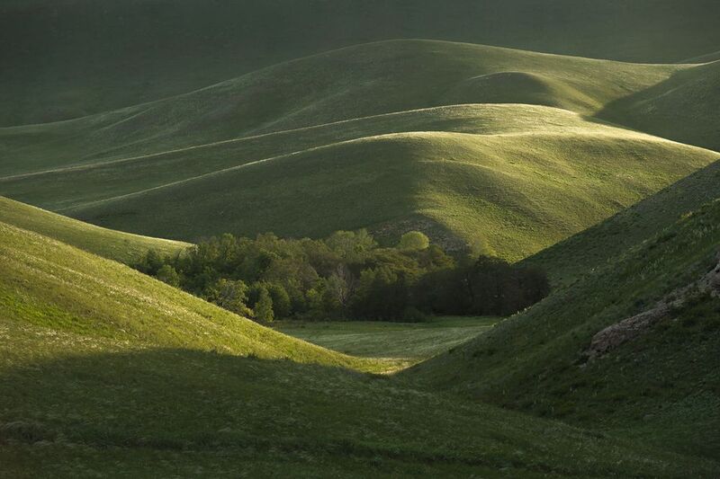 оренбуржье, долгие горы, урал, цветущая степь, степной пейзаж, оренбургская область, карамурунтау Дальние сюжеты Долгих горphoto preview