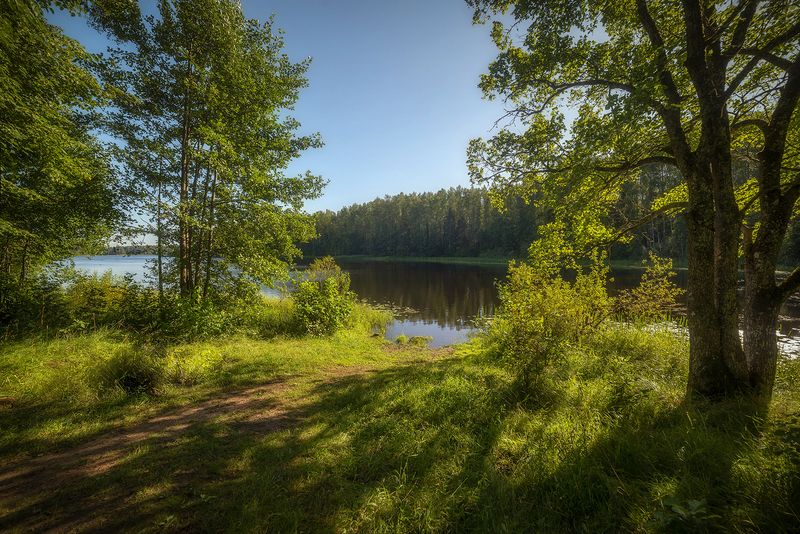 *** фото превью