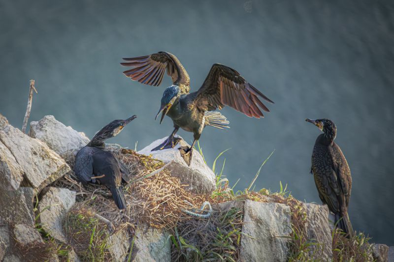 Красив ли я...? фото превью