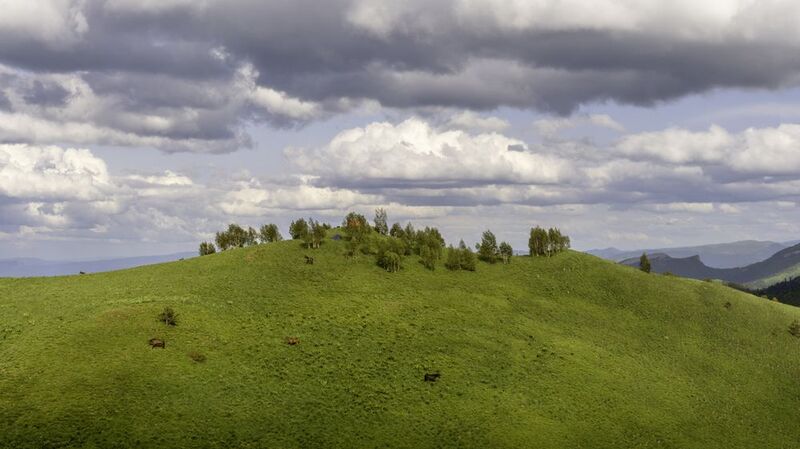 Россия, республика Адыгея, Большой Тхач Летом на Кавказеphoto preview