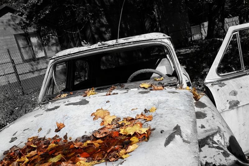 Дыхание, осень, закат, эпоха, миры Осень прошлогоphoto preview