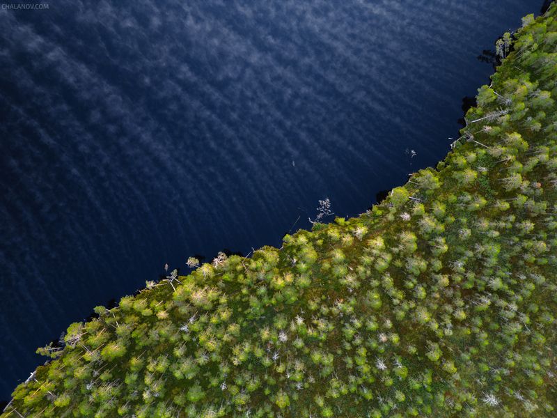 пейзаж, природа, дрон, туман, рассвет, озеро, болото Утренний туман покидает болото фото превью