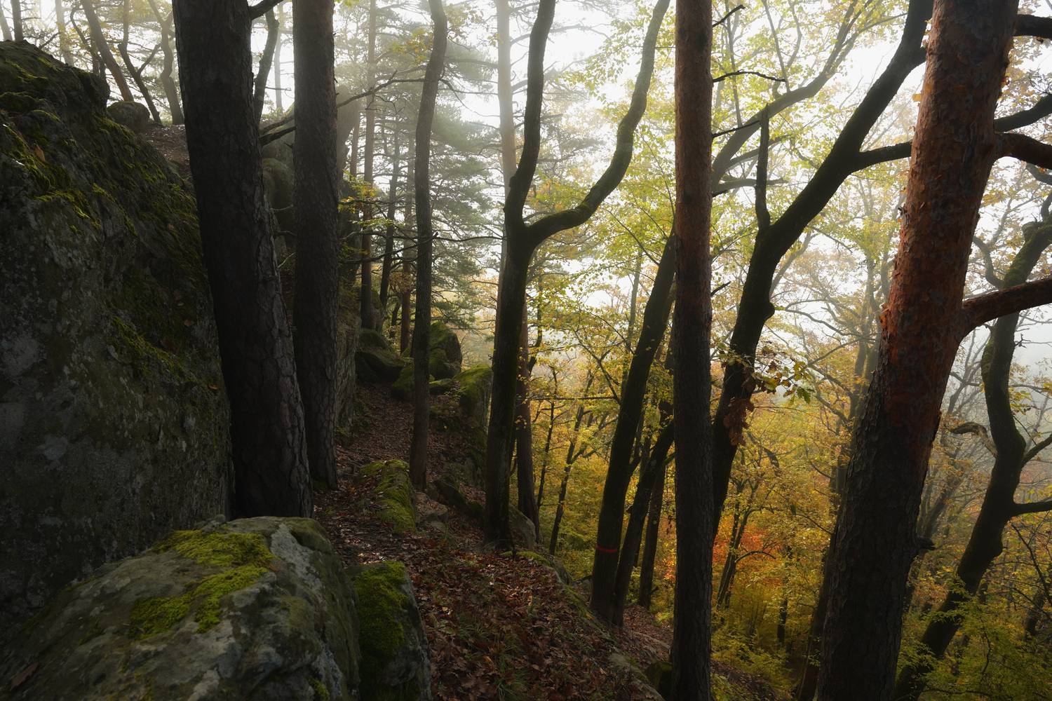 , Сергей Тихомиров