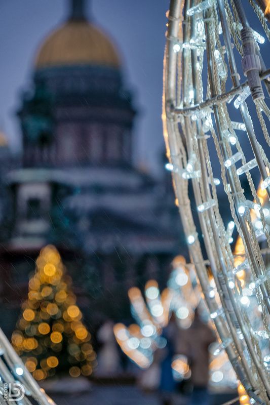 собор, исаакий, новый год Дождливый декабрьphoto preview