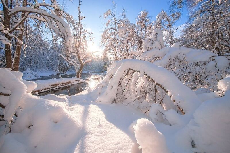 Солнечный февраль фото превью