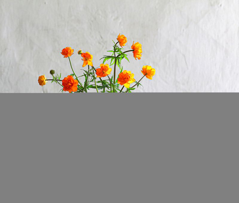 натюрморт, фотонатюрморт, still life, stillifefoto, цветы, огоньки, ретро_натюрморт, наталья_казанцева Огоньки в оранжевом стакане фото превью