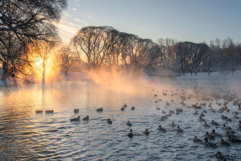 Встреча тепла и холодаphoto preview