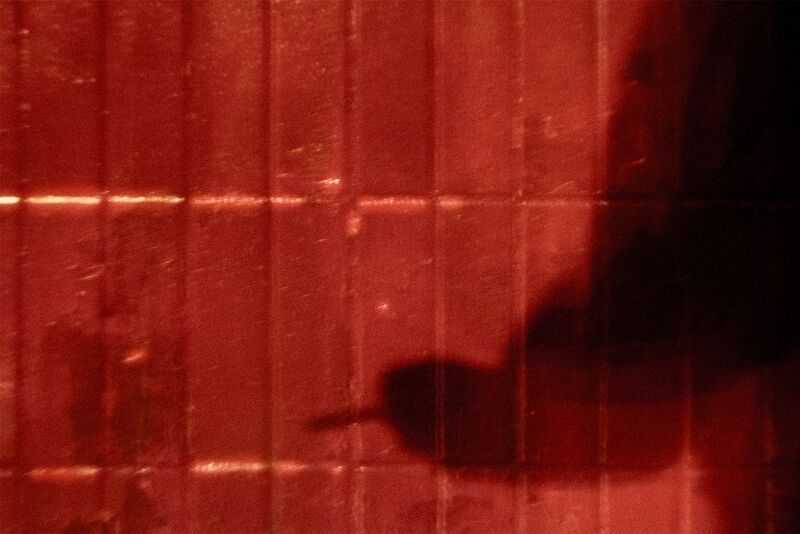 Moscow, Russia, December 2024photo preview