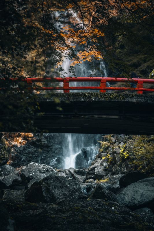 autumn, forest, japan, osaka, bridge, river, осень, водопад, япония, лес, мост, река Mino Falls in Osaka in November.photo preview